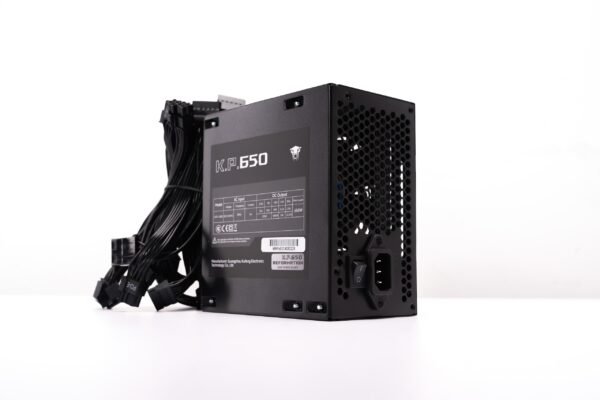 Jungle leopard Reformrtion KP650 Power Supply