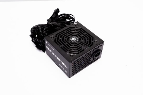 Jungle leopard Reformrtion KP650 Power Supply
